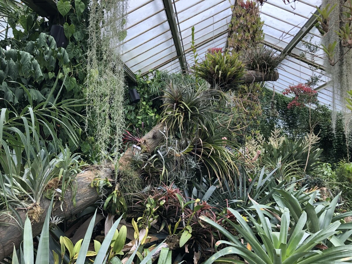 2025-London-Londen-伦敦